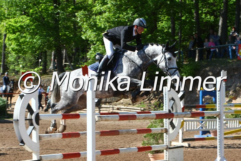 104M8841_Spring M_m.Stechen.JPG